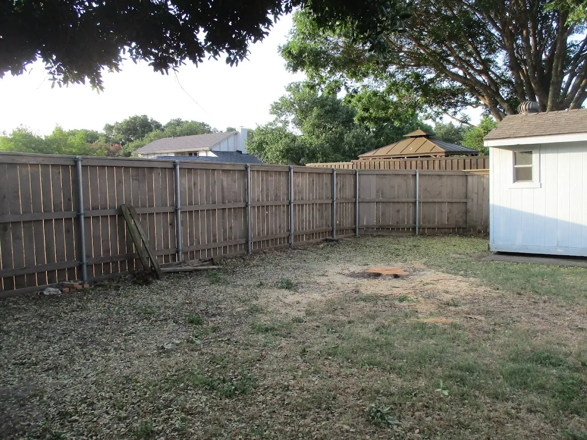 Cleared yard after professional tree removal in Encino
