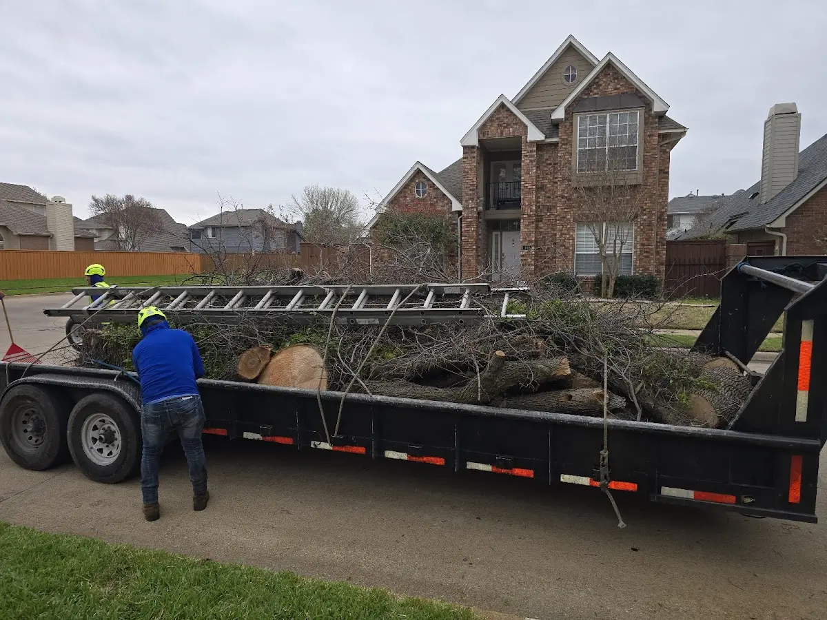 Expert Lot Clearing with proper safety equipment in Encino